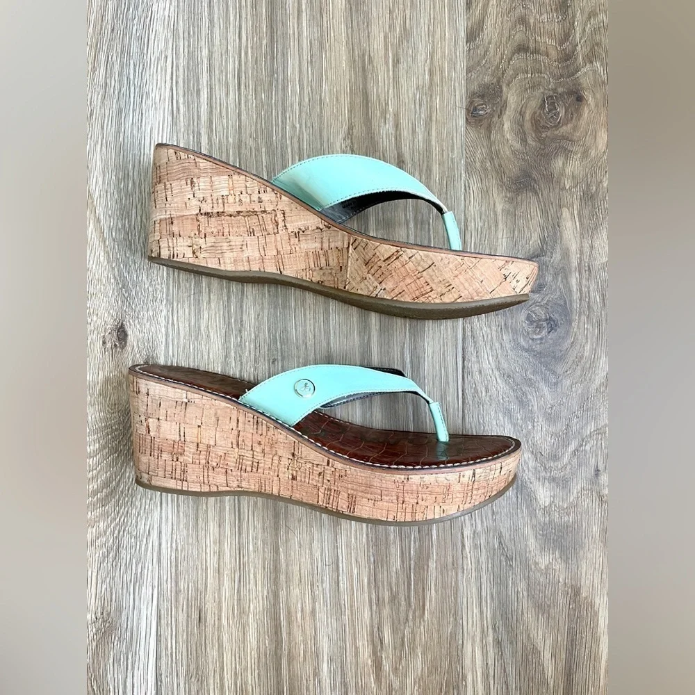 Sam Edelman Romy Cork Wedge Thong Sandals Size 8.5 M Iphone Retro Green LNC